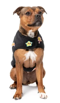 Rep It - Ranger Wrap Vest