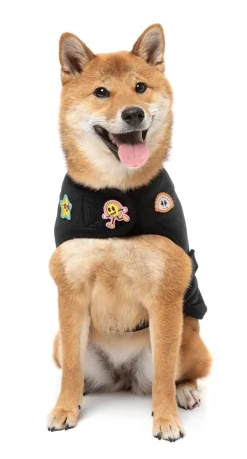 Rep It - Ranger Wrap Vest