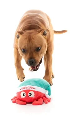 Santa Claws - Dog Toy