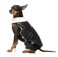 Sebastian Jacket - Black