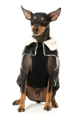 Sebastian Jacket - Black