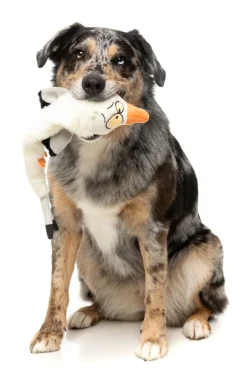 See-ya Seagull - The Yeetz - Dog Toy