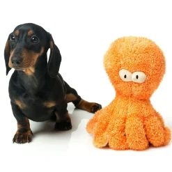 Sir Legs a Lot the Octopus