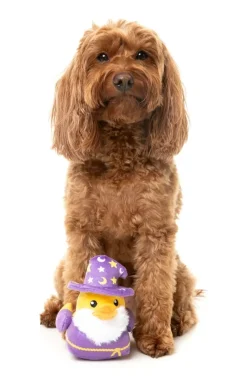 Sirius Quack - Dog Toy