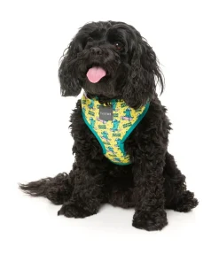 Sk8ter Gator - Harness