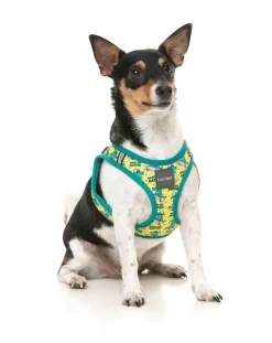 Sk8ter Gator - Step In Harness