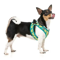 Sk8ter Gator - Step In Harness