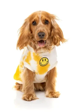 Smiley Tie-rus Sweater Yellow/Cream