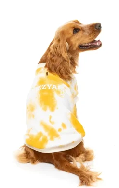 Smiley Tie-rus Sweater Yellow/Cream