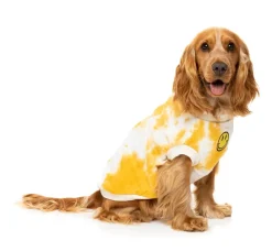 Smiley Tie-rus Sweater Yellow/Cream