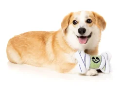Smiling Ghoul Bone - Dog Toy