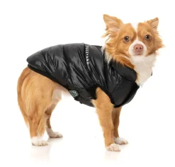 South Harlem Jacket - Black