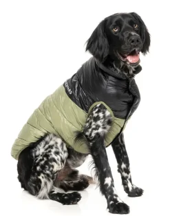 South Harlem Jacket - Olive