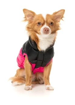 South Harlem Jacket - Pink