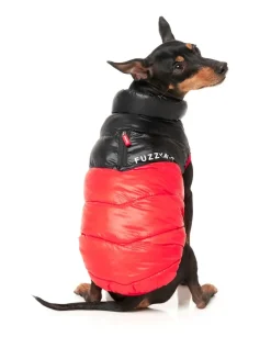 South Harlem Jacket - Red