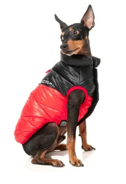 South Harlem Jacket - Red