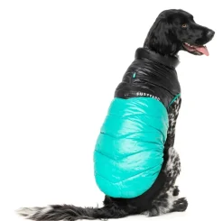 South Harlem Jacket - Teal