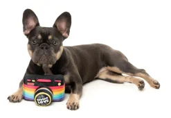 Spread Love Camera - Dog Toy