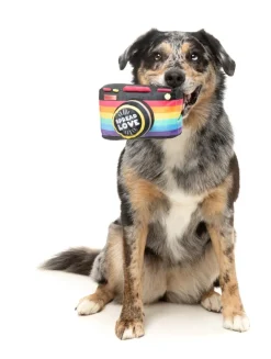 Spread Love Camera - Dog Toy
