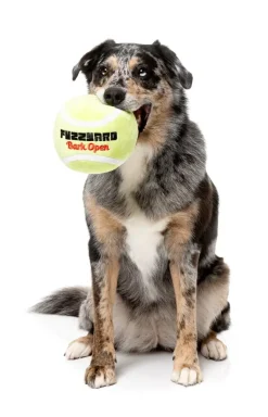 Tennis Ball - Dog Toy