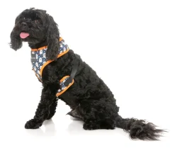 That's The Spirit - Dog Harness