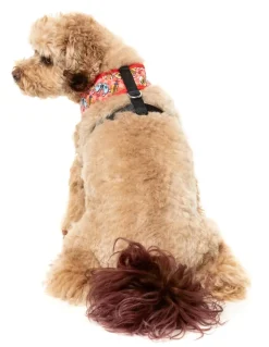 The Homies - Dog Harness