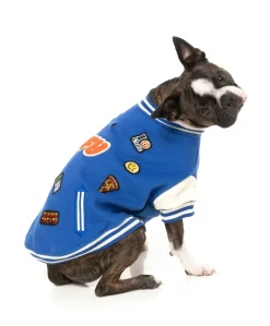 The Letterman Jacket - Blue