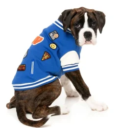 The Letterman Jacket - Blue