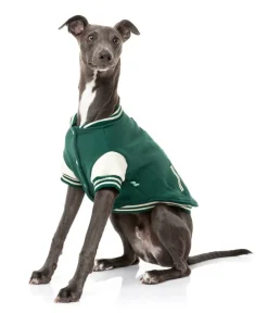 The Letterman Jacket - Green