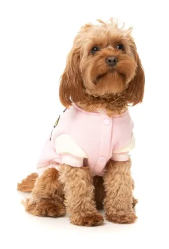 The Letterman Jacket - Pink