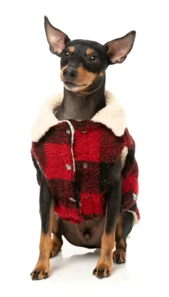 The Lumberjack - Red