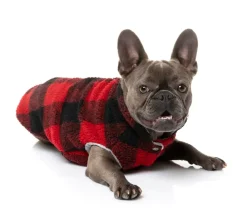 The Lumberjack - Red/Black