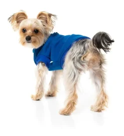 The Woof Sweater - Blue
