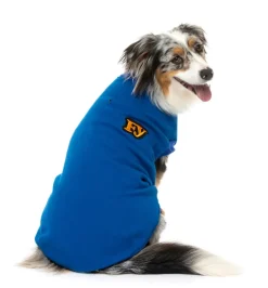 The Woof Sweater - Blue