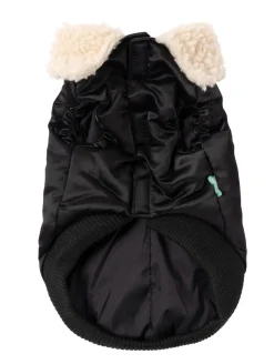 The Zoomies Jacket - Black