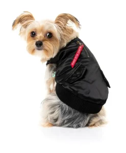 The Zoomies Jacket - Black