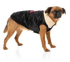 The Zoomies Jacket - Black