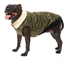 The Zoomies Jacket - Olive Green