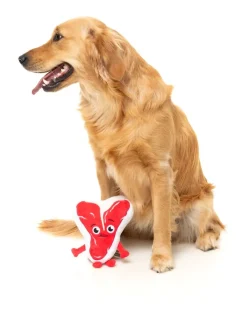 Tim Tee-Bowne - Dog Toy