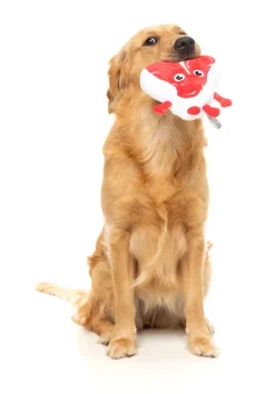 Tim Tee-Bowne - Dog Toy