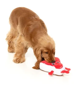 Tim Tee-Bowne - Dog Toy