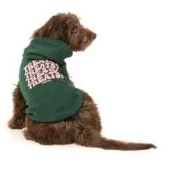 Treats Hoodie - Green