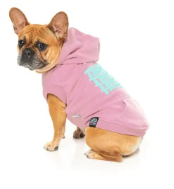 Treats Hoodie - Pink