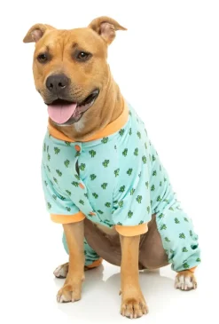 Tucson Pajamas