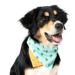 Tucson Pet Bandana
