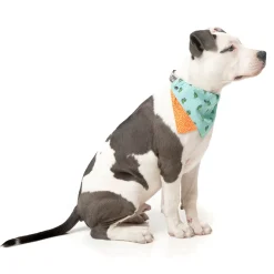 Tucson Pet Bandana