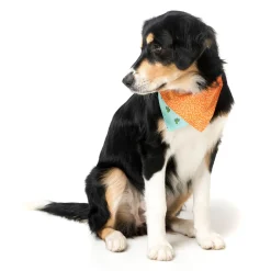 Tucson Pet Bandana