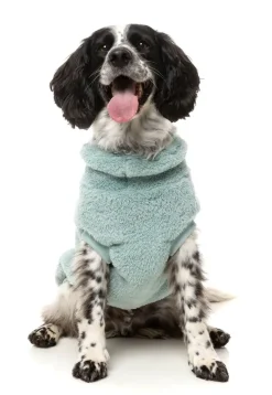 Turtle Teddy 25 Sweater - Arctic Blue