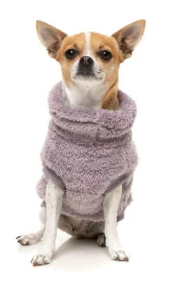 Turtle Teddy 25 Sweater - Lavender