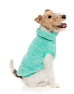 Turtle Teddy 24 Sweater - Teal